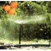 旋转微喷/育苗微喷生产/山东鸿泰伟业节水灌溉设备有限公司