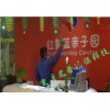 重庆除甲醛最好公司-重庆渝北冉家坝