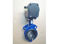 GRWD32NJ2K手动涡轮蝶阀图2