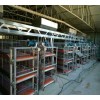 全自动鸡笼全自动鸡笼设备出厂价滑县耀阳养殖设备商贸有限公