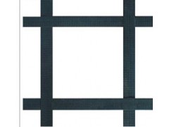 贵州钢塑整体土工格栅图3