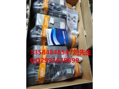 R1-100/R1-063台湾欧乐霸/EUROVAC真空泵图2