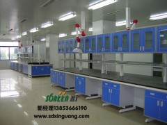 供应济宁实验室用通风柜耐酸碱通风橱厂家定制东营实验室通风柜图3