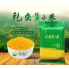 河南黄小米批发价格，郑州黄小米厂家直销，开封黄小米贴牌加工