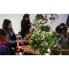哈尔滨親親花兿培训工作室|花店运营及鲜花保养方法|親親花兿供