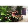 哈尔滨親親花兿培训工作室-婚礼婚车鲜花设计-親親花兿供