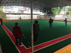 门球场专用人造草坪、门球场人工草坪工厂、门球场草坪价格图2