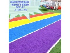 幼儿园人造草坪、彩虹跑道草坪、人造草坪工厂、草坪价格图2