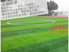足球场人造草坪、足球场草坪铺装施工、人造草坪价格图2