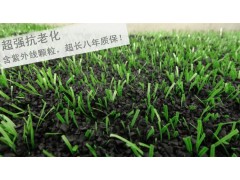 足球场人造草坪、足球场草坪铺装施工、人造草坪价格图3