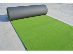 高尔夫果岭草、室内外果岭草坪、出口品质欧美标准图3