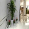 仿真植物墙制造仿真植物墙厂家上海仿真植物墙设计卉萱供