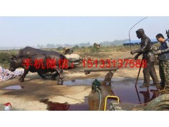 耕牛铜雕塑，耕地铜雕塑，铜雕塑厂家图3