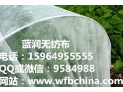 山东园林无纺布，青岛园林无纺布价格15964955555图3