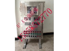 ABB防爆配电箱图3