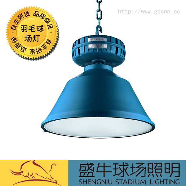 羽毛球场灯SN01