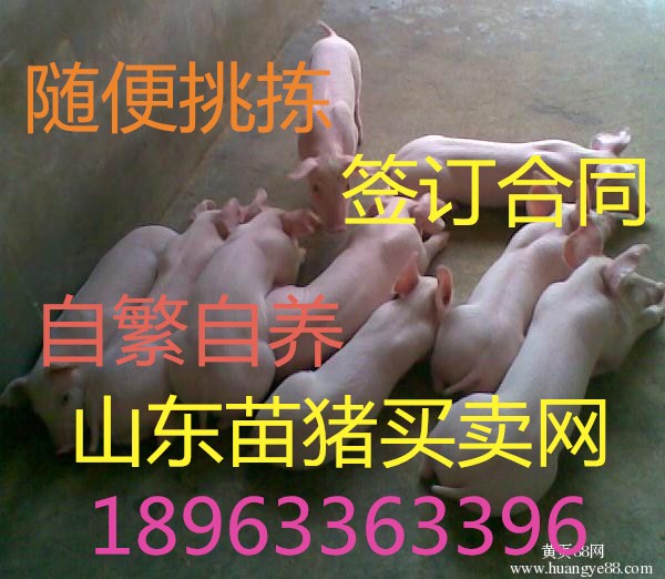 129498a25abdef34_副本