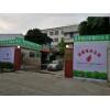 工业型橙子切片机