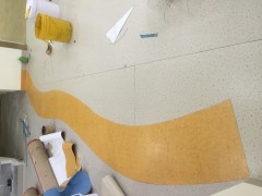 广东深圳幼儿园PVC塑胶地板2.0mm厚地板胶厂家批发图3