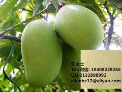 氨基酸螯合钙有机叶面肥果树专用图2