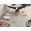 老鹰铜雕塑，雄鹰展翅铜雕塑
