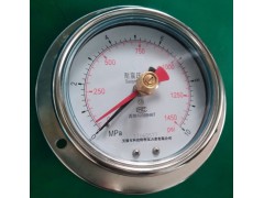 记忆压力表YN-60-J/YN100-J/YN150-J图3