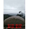 龙岩自然石价格-锦磐园林景观工程畅销自然石【供应】