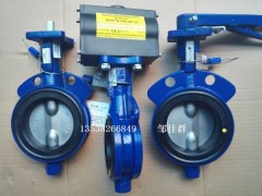 F89-006F89U-006DA气动执行器F89气缸图2