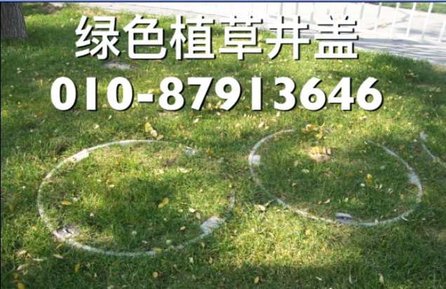 绿化带井盖