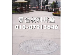 广州荔湖城(复合井盖，复合材料井盖)图2