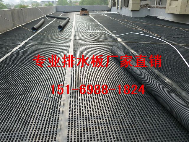 42035.733645463_P1010103