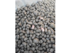 山东哪里卖山药豆图2