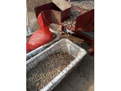 山东哪里批发山药豆图3