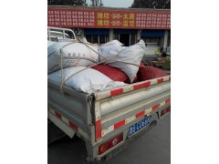 山东山药豆供应批发代收山药豆找昌乐金诚合作社产地直销价格便宜图3
