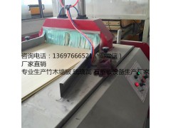 PVC木塑纤维集成墙板设备,竹木快装护墙板生产线图2
