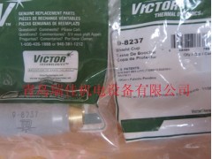 美国飞马特9-8213引导弧点燃管图3