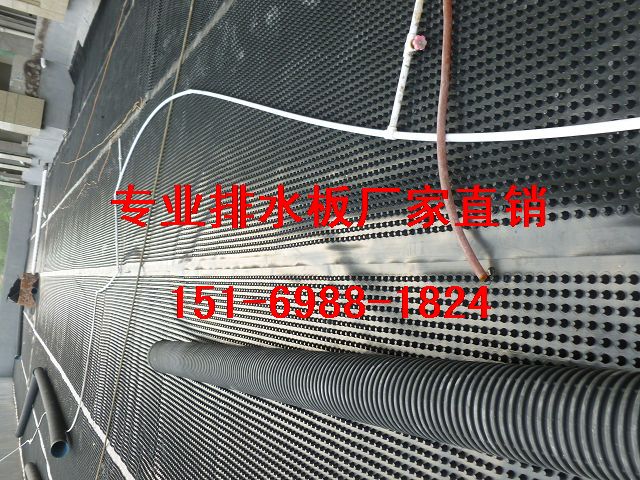 42035.7336563194_P1010104