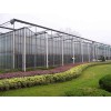 潍坊玻璃温室厂家，优质的玻璃温室大棚