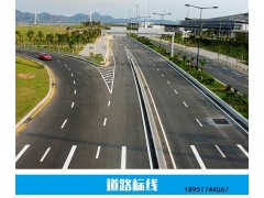 南京道路划线-达尊道路标线图3