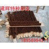 潜山县建辉特种工业制刷厂供应5256-1木头板刷