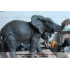 铜大象-动物雕塑-厂家文禄