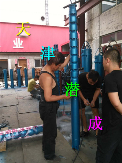 复件 (2) 复件 深井泵 (66)