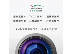 宁波企业宣传片产品广告片微电影制作招商片制作图2