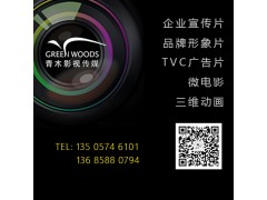 宁波专题片拍摄电视广告片高清宣传片视频制作图2