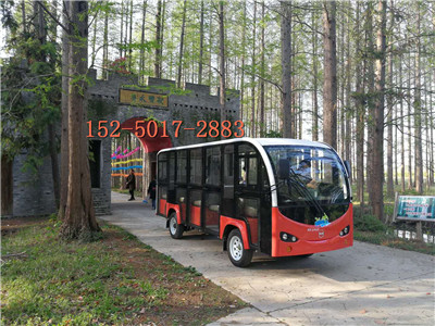 11座 14座 带门电动观光车 (49)