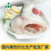 安徽三珍食品冰鲜鲢鱼身厂家直销花白鲢