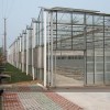 玻璃智能温室工程-哪里有提供口碑好的温室大棚