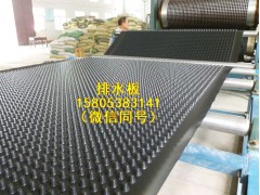 无锡地下车库排水板建筑蓄排水板土工布图3