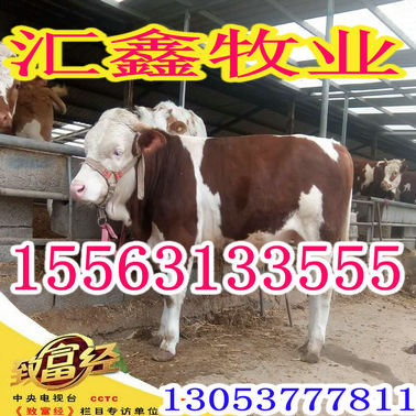 QQ图片20170406213435