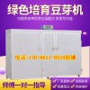 卫生高效率豆芽机河北邢台豆芽机全自动小型家用6盒豆芽机